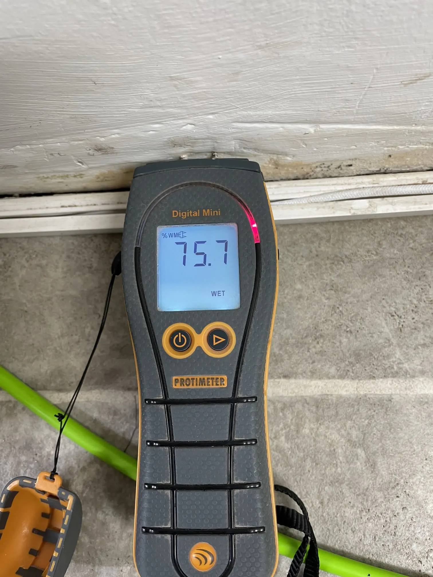 Dry Rot in Oldham