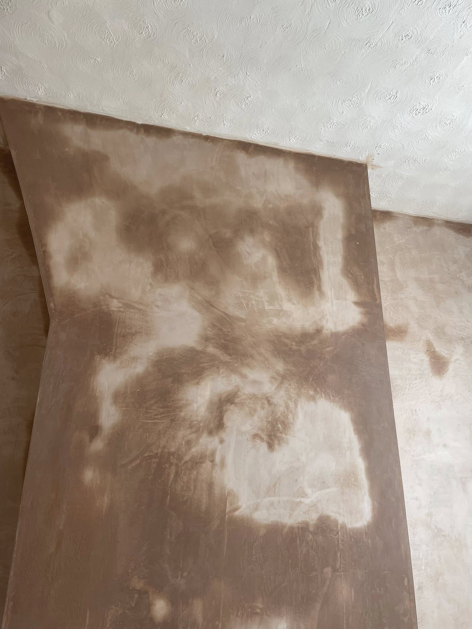 Damp Surveying Manchester